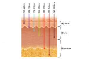 Penetration of visual radiation into the skin